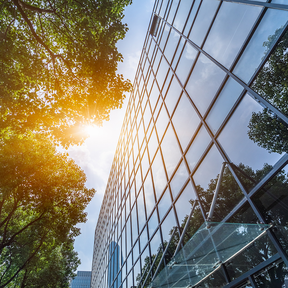 modern office building with green leaves.