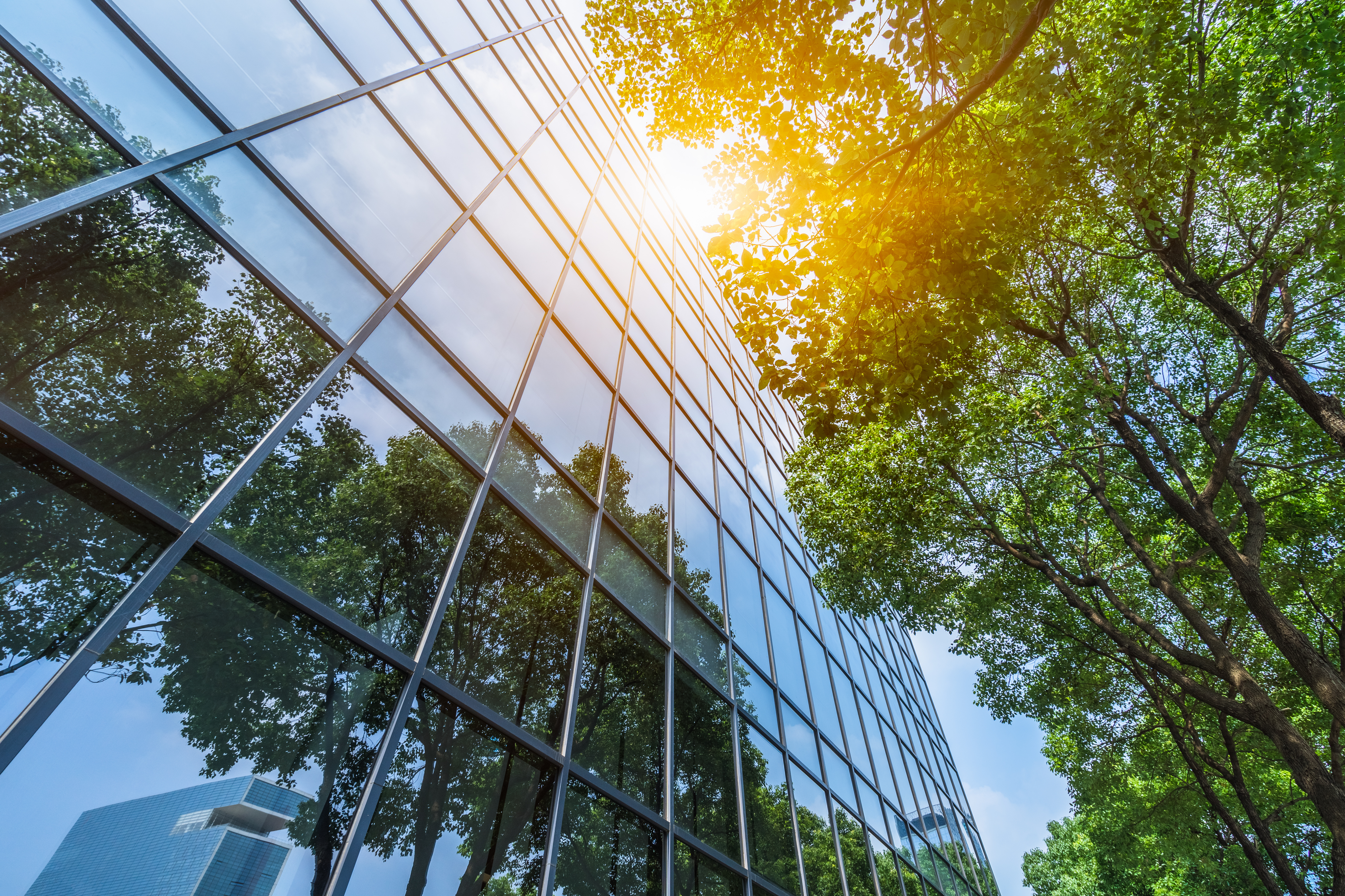 modern office building with green trees.