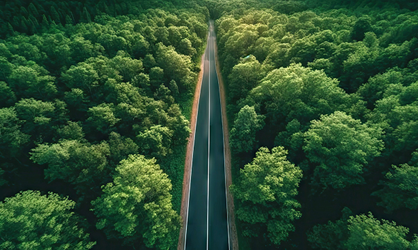 Aerial top view of asphalt road through green forest, healthy rain forest,  environment, health, green economy, view of nature ecosystem for save Earth with Generative AI.